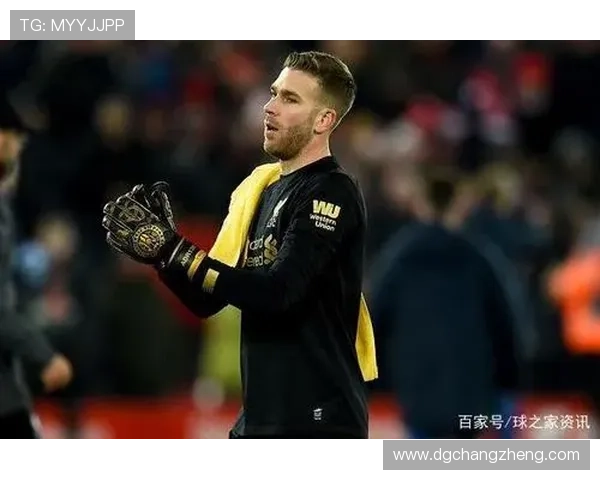 阿德里安希思：埃弗顿球员需提升一项能力才能加入欧洲顶级球队